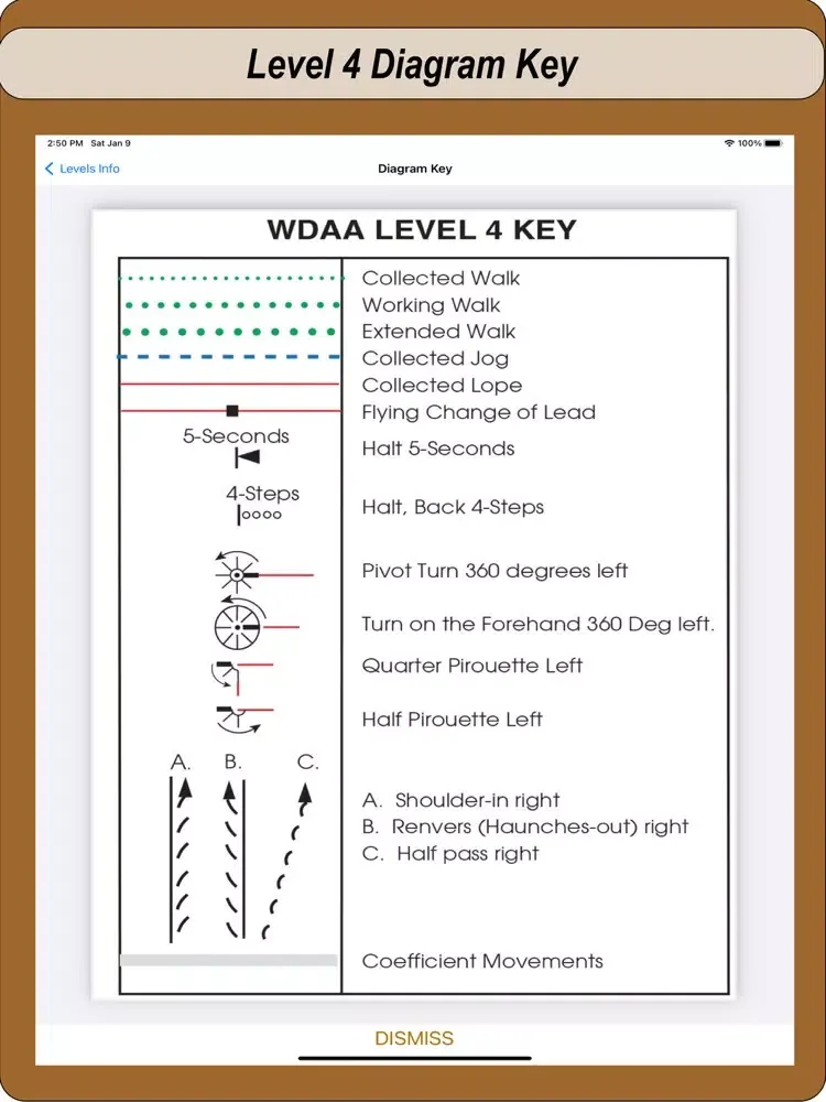 2017 WDAA Dressage Tests iPad  スクリーンショット